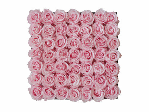Forty-nine Preserved Roses - Concept - Regeneration Zone