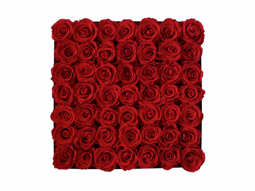 Forty-nine Preserved Roses - Concept - Regeneration Zone