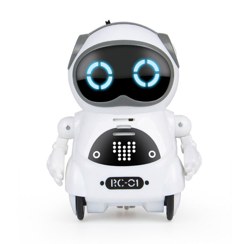 Pocket Robot Talking Interactive Dialogue Voice - Regeneration Zone