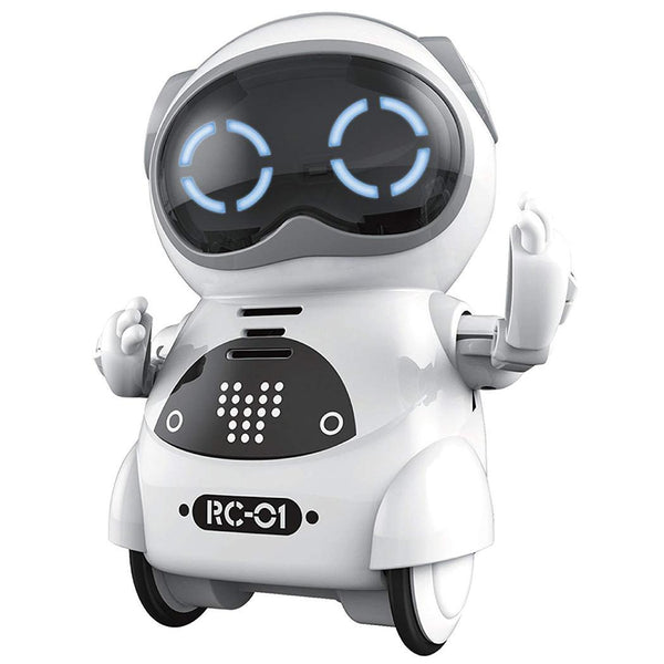 Pocket Robot Talking Interactive Dialogue Voice - Regeneration Zone