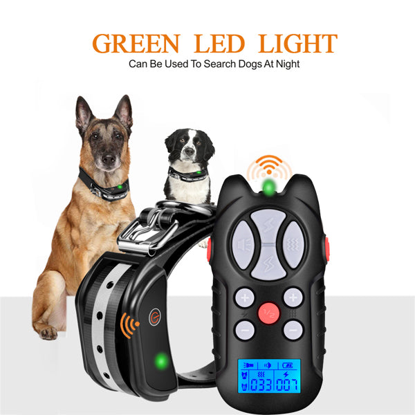 Dog Training Collar - Regeneration Zone