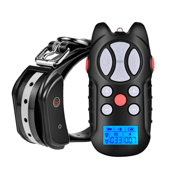 Dog Training Collar - Regeneration Zone