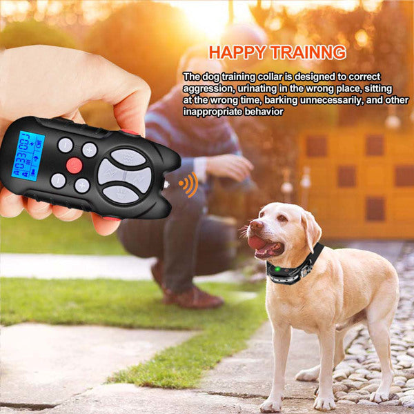 Dog Training Collar - Regeneration Zone