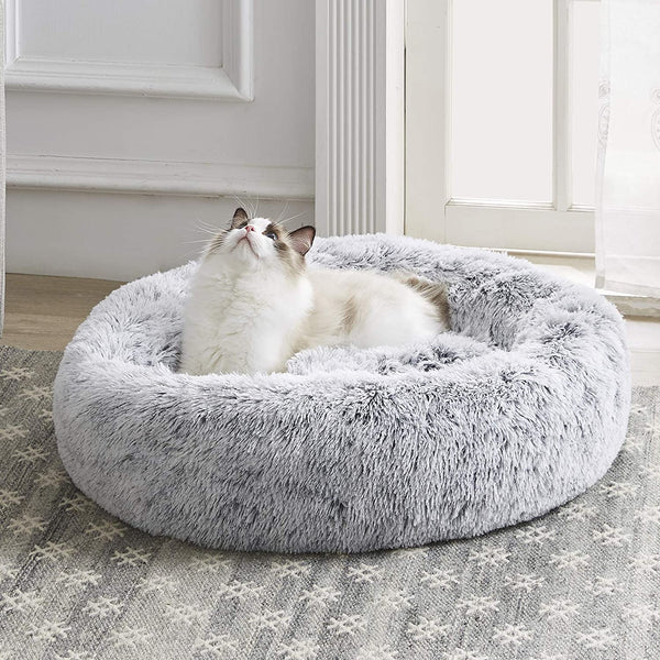 Relaxing Cat Bed - Regeneration Zone